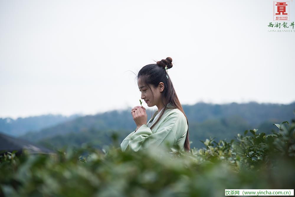 飲茶網