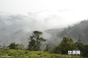 勐海大黑山普洱茶產(chǎn)地及價(jià)格表