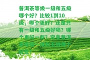 普洱茶等級(jí)一級(jí)和五級(jí)哪個(gè)好？比較1到10級(jí)，哪個(gè)更好？還是只有一級(jí)和五級(jí)好喝？哪個(gè)更好部分？究竟普洱茶等級(jí)一級(jí)和五級(jí)哪個(gè)好些？