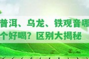 普洱、烏龍、鐵觀音哪個好喝？區(qū)別大揭秘