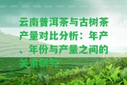 云南普洱茶與古樹茶產(chǎn)量對比分析：年產(chǎn)、年份與產(chǎn)量之間的關(guān)系研究