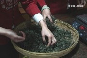 二十年生普洱茶價(jià)格是多少