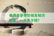 普洱茶芽孢價格及知識解答，一斤多少錢？