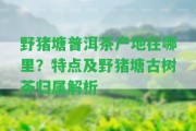 野豬塘普洱茶產(chǎn)地在哪里？特點(diǎn)及野豬塘古樹(shù)茶歸屬解析