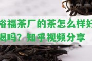 裕福茶廠的茶怎么樣好喝嗎？知乎視頻分享