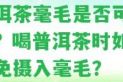 普洱茶毫毛是否可食用？喝普洱茶時如何避免攝入毫毛？