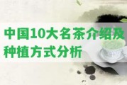 中國(guó)10大名茶介紹及種植方法分析