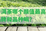 普洱茶哪個(gè)顏值最高的品牌和品種喝？