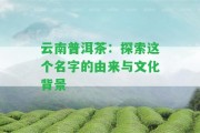 云南普洱茶：探索這個(gè)名字的由來(lái)與文化背景