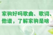 家駒好嗎歌曲、歌詞、他譜，熟悉家駒是啥