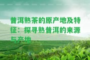 普洱熟茶的原產(chǎn)地及特征：探尋熟普洱的來源與產(chǎn)地