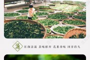 茉莉花茶沖泡順序介紹，減肥綠茶