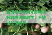 普洱茶怎樣沏才好喝視頻教程講解教學(xué)，不錯過任何細節(jié)！