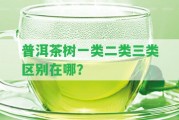 普洱茶樹一類二類三類區(qū)別在哪？