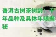 普洱古樹茶樹齡：千年品種及具體年限揭秘