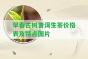 早春古樹普洱生茶價格表及特點圖片