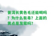 普洱長黃色毛還能喝嗎？為什么有毒？上面的黃點是發(fā)霉嗎？