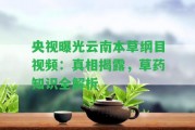 央視曝光云南本草綱目視頻：真相揭露，草藥知識(shí)全解析