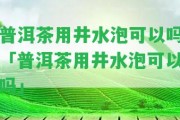 普洱茶用井水泡可以嗎「普洱茶用井水泡可以嗎」