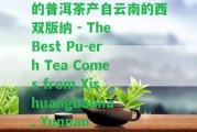 的普洱茶產(chǎn)自云南的西雙版納 - The Best Pu-erh Tea Comes from Xishuangbanna, Yunnan