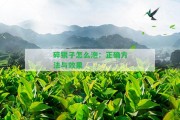 碎銀子怎么泡：正確方法與效果