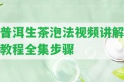 普洱生茶泡法視頻講解教程全集步驟