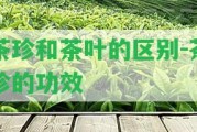 茶珍和茶葉的區(qū)別-茶珍的功效