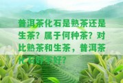 普洱茶化石是熟茶還是生茶？屬于何種茶？對比熟茶和生茶，普洱茶化石好不好？