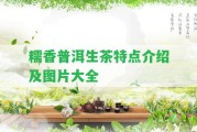 糯香普洱生茶特點介紹及圖片大全