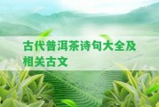 古代普洱茶詩句大全及相關(guān)古文