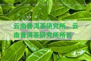 云南普洱茶研究所，云南普洱茶研究所所長