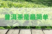 普洱茶是最簡單