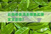 云南老普洱茶哪里買(mǎi)便宜又正宗？