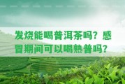 發(fā)燒能喝普洱茶嗎？感冒期間可以喝熟普嗎？