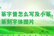 篆字普怎么寫(xiě)及小篆、篆刻字體圖片