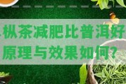 單樅茶減肥比普洱好嗎？原理與效果怎樣？