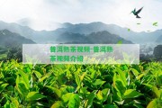 普洱熟茶視頻-普洱熟茶視頻介紹