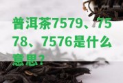 普洱茶7579、7578、7576是什么意思？