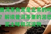 普洱茶有泥是正常的嗎？解讀普洱茶里的泥巴、泥土味和沉淀物