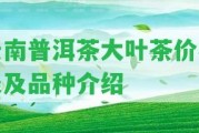 云南普洱茶大葉茶價(jià)格表及品種介紹