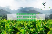 昆明哪里可以購(gòu)買(mǎi)壓茶餅？昆明壓茶餅的詳細(xì)地址和店鋪推薦