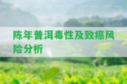 陳年普洱毒性及致癌風(fēng)險(xiǎn)分析