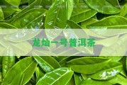 龍燦一號普洱茶