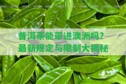 普洱茶能帶進(jìn)澳洲嗎？最新規(guī)定與限制大揭秘