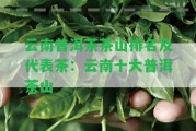 云南普洱茶茶山排名及代表茶：云南十大普洱茶山