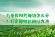 毛茶原料的等級怎么分？判定原則和辨別方法