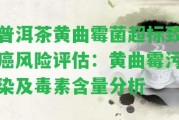 普洱茶黃曲霉菌超標(biāo)致癌風(fēng)險(xiǎn)評(píng)估：黃曲霉污染及毒素含量分析