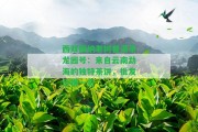 西雙版納老樹(shù)普洱茶龍園號：來(lái)自云南勐海的獨特茶餅，批發(fā)價(jià)格一覽