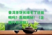 普洱茶餅長(zhǎng)綠毛了還能喝嗎？真相揭秘！（含圖片和視頻）