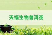 天福生物普洱茶